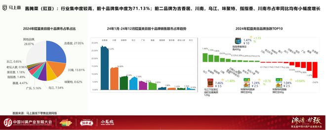 发展大会：调味品竞争态势及发展趋向麻将胡了2模拟器分享实录丨川调产业(图9)