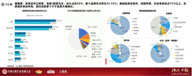 发展大会：调味品竞争态势及发展趋向麻将胡了2模拟器分享实录丨川调产业(图20)