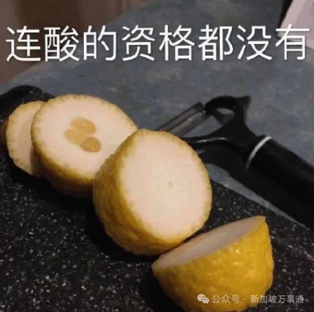 费涨18%、拥车证破$14万创新高…麻将胡了我们正经历史上最贵新加坡:水(图5) 费涨18%、拥车证破$14万创新高…麻将胡了我们正经历史上最贵新加坡:水(图5)