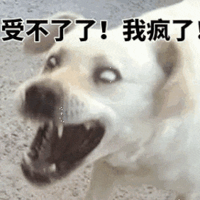 费涨18%、拥车证破$14万创新高…麻将胡了我们正经历史上最贵新加坡:水(图15) 费涨18%、拥车证破$14万创新高…麻将胡了我们正经历史上最贵新加坡:水(图15)